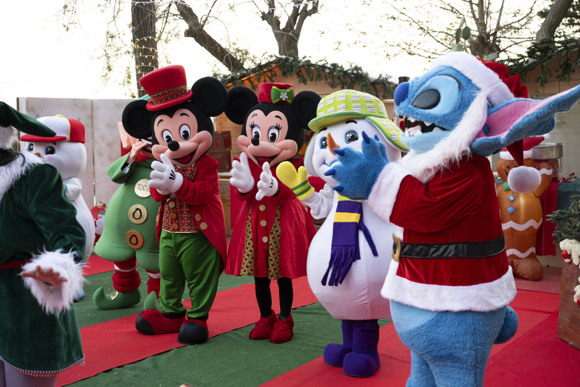 Immagine: Villaggio Natale